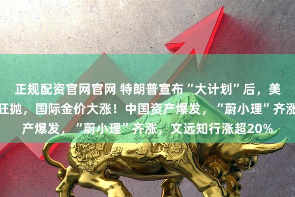 正规配资官网官网 特朗普宣布“大计划”后，美元跳水，美国国债被狂抛，国际金价大涨！中国资产爆发，“蔚小理”齐涨，文远知行涨超20%