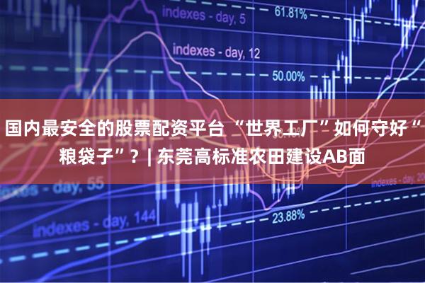 国内最安全的股票配资平台 “世界工厂”如何守好“粮袋子”？| 东莞高标准农田建设AB面