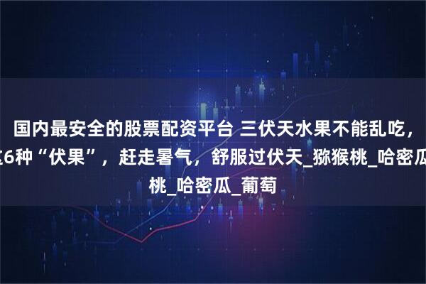 国内最安全的股票配资平台 三伏天水果不能乱吃，多吃这6种“伏果”，赶走暑气，舒服过伏天_猕猴桃_哈密瓜_葡萄