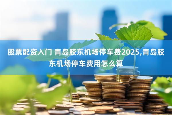 股票配资入门 青岛胶东机场停车费2025,青岛胶东机场停车费用怎么算