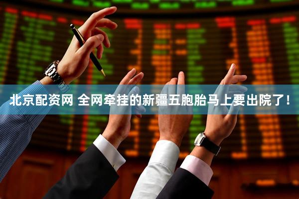 北京配资网 全网牵挂的新疆五胞胎马上要出院了！