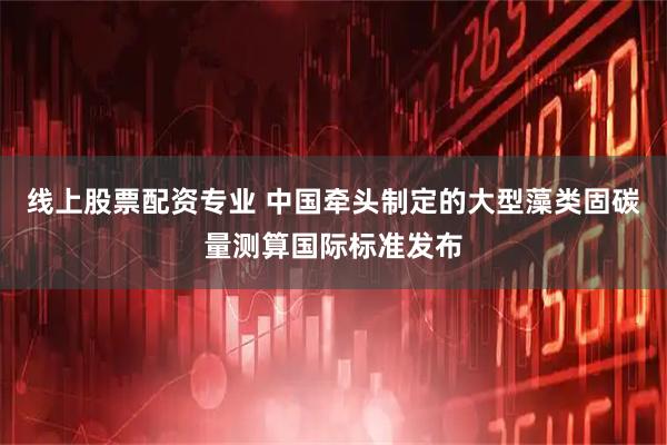 线上股票配资专业 中国牵头制定的大型藻类固碳量测算国际标准发布
